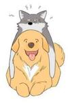 Papa Wolf and The Puppy
