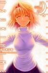 Shingetsutan Tsukihime