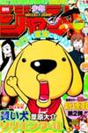 Super Dog Rilienthal
