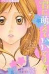 Kimi ni Moete Ii desu ka?