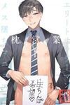 Elite Salaryman Mesuochi Manual