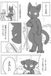 White Cat And Black Cat