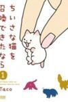 If I could summon a small cat