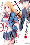 Saenai Riman to Yankee Joshi Kousei