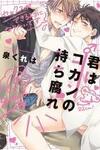 Kimi wa Kokan no Mochigusare