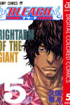 Bleach - Digital Colored Comics