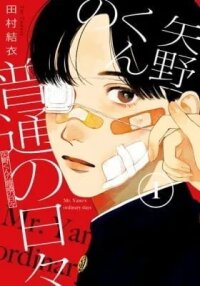 Manga poster Mr. Yano's Ordinary Days