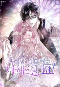 Poster for the manga Villain, I’ll Do Everything Except Marriage for You!