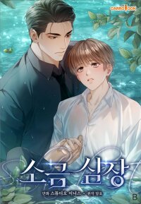 Manga poster Salt Heart