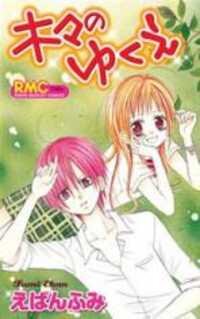 Poster for the manga Kigi No Yukue