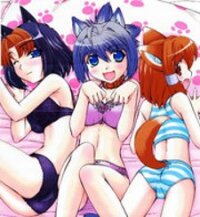 Poster for the manga Inumimi