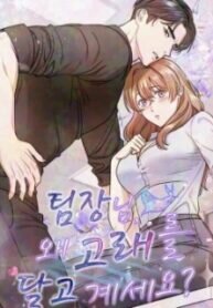 Manga poster Team Leader, Why Are You Carrying a Whale?