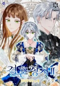 Manga poster Marriage of Convenience 2: An Unforgettable Song