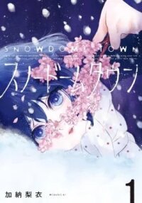 Manga poster Snow Dome Town