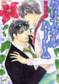 Poster for the manga Crystal Harem