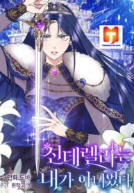Poster for the manga Cinderella Wasn’t Me Manhwa