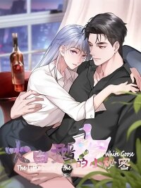 Poster for the manga The Little Secret of the Big White Goose