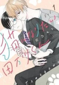 Manga poster Nekoni Naritai Tamagawa-kun