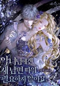 Manga poster The Villainess Doesn’t Need A New Husband!