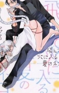 Poster for the manga Tonde Hi ni Iru Natsu no Neko