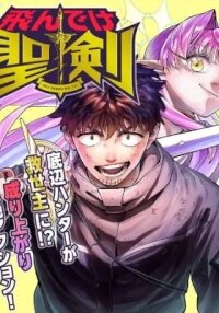 Manga poster Holy Swords Will Fly
