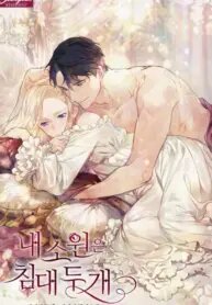 Poster for the manga My Wish Is Two Separate Beds