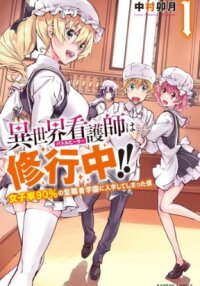 Manga poster Battle Healers: The Adventure Tale of a Boy with Big Dreams