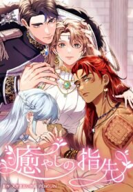 Manga poster Healing Touch