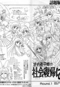 Manga poster Princess Naoko Takeuchi's Return to Society Punch!