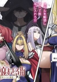 Manga poster Ore ni Tsugou ga Yosugiru Machi: Shihaisha Skill de Isekai Harem Musou