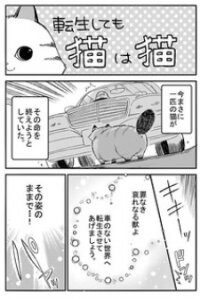 Manga poster A Story about a Cat Reincarnated in a Different World Where There are no Cats.