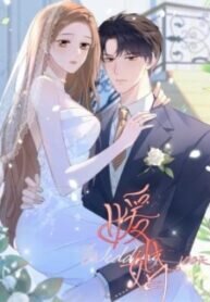 Poster for the manga 100-Day Warm Marriage
