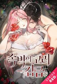 Manga poster Chains of Restraint: Imprisonment