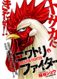 Poster for the manga Rooster Fighter