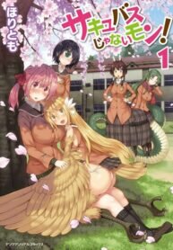 Manga poster Succubus ja nai mon!
