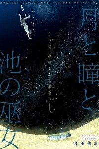 Manga poster The Moon, the Eyes, and the Shrine Maiden of the Lake