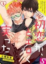Poster for the manga Hatsukoi ga, Do Eroku Minotta