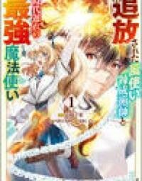 Manga poster The Banished Wind-User Alchemist and the Outdated Strongest Wizard Comic Version