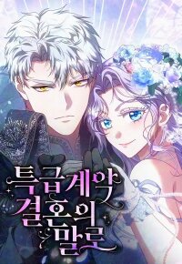 Poster for the manga Express Contract Marriage Words