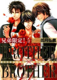 Poster for the manga Brother X Brother