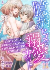 Poster for the manga Okubyo Hime To Dekiai Knight
