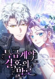 Poster for the manga In the Name of Special Contract Marriage