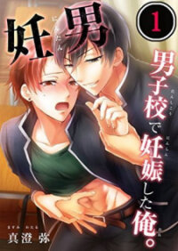 Poster for the manga Pregnant In Boy's School
