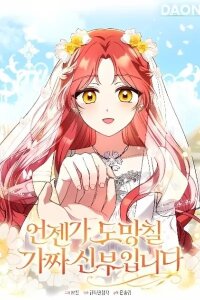 Manga poster I'm A Fake Bride Who'll Run Away Someday