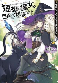 Manga poster Second Story Online: Aiming To Become The World's Number 1. Ideal Witch