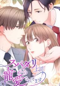 Poster for the manga My Boss, the Ideal Man, Dotes on Me