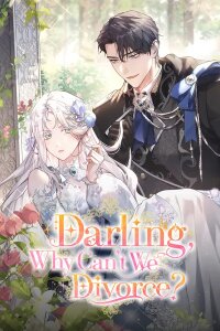 Poster for the manga Darling, Why Can't We Divorce?