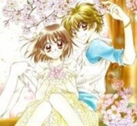 Poster for the manga Wild Damon