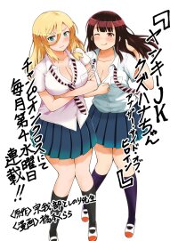 Manga poster Yankee JK Kuzuhana-chan: Another Side of the Heroine