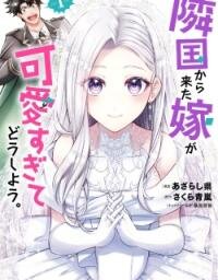 Manga poster Rinkoku kara Kita Yome ga Kawaisugite Doushiyou